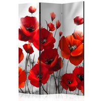 biombo - poppies in the moonlight 135x172 cm