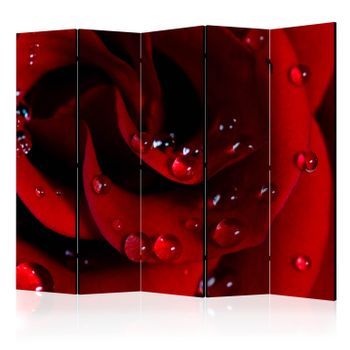 Biombo - Red Rose With Water Drops Ii (225x172 Cm)