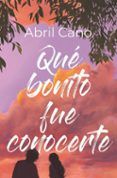 Qué bonito fue conocerte