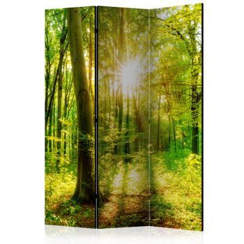 Biombo - Forest Rays (135x172 Cm)