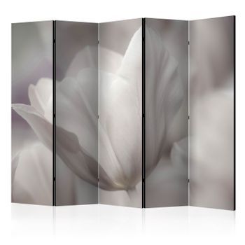 Biombo - Tulip - Black And White Photo Ii (225x172 Cm)