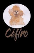 Céfiro