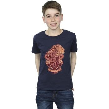 Harry Potter Tops y Camisetas Gryffindor para niño