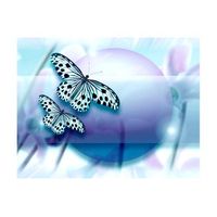 papel pintado 3d - el planeta de las mariposas 300x231 cm