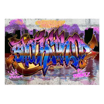 Papel Pintado 3d - Colorful Mural (350x245 Cm)