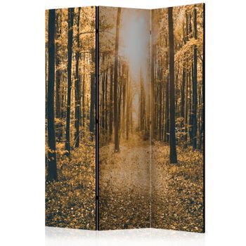 Biombo - Magical Light (135x172 Cm)