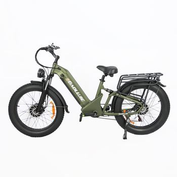 Bicicleta Eléctrica Todoterreno Baolujie Dp2402 De Doble Motor Y Neumáticos Anchos (48 V, 20 Ah), Verde