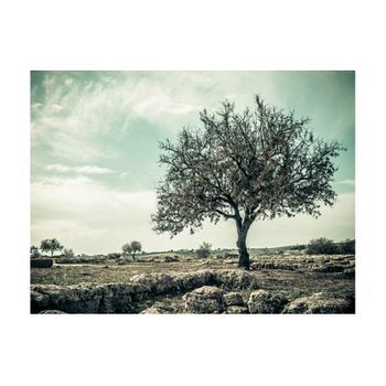 Papel Pintado 3d - Árbol - Vintage (250x193 Cm)