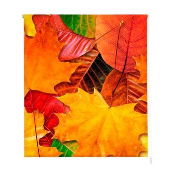 Estoralis - Estor Enrollable Translucido | Estampado Flores | 150 X 180 Cm (ancho/alto) Tamaño Tela 147 X 175 Cm | F-1516 Unico