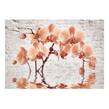 Papel Pintado 3d - The Orange Arc (400x280 Cm)