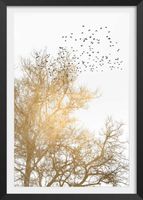 cartel dibujo cielo dorado con marco negro 40x60 cm