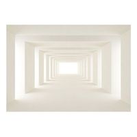 papel pintado 3d - into the light 350x245 cm