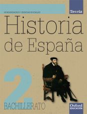Proyecto Tesela, historia, 2 Bachillerato