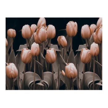 Papel Pintado 3d - Ladies Among The Flowers (350x270 Cm)