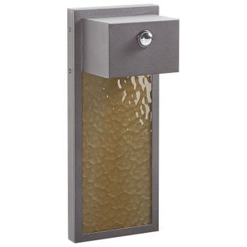 Lámpara De Pared Led De Metal Gris 40 Cm Vidrio Sensor Movimiento Exterior Carron