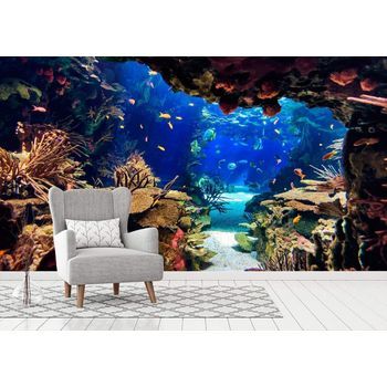 Oedim Fotomural Vinilo Para Pared Fondo Marino | Vinilo Premium | Fotomural Vinilo Decorativo | 350 X 250 Cm | Decoración Comedores, Salones, Habitaciones