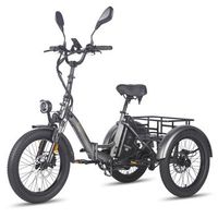 fafrees f20 mate triciclo electrico - motor 500w bateria 48v21ah frenos hidraulicos neumaticos de 20 pulgadas - gris
