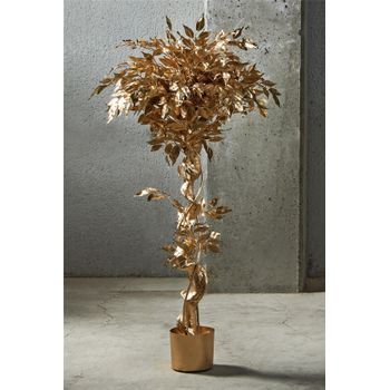 Planta Ficus Benjamin Oro 135 Cms. 78x135 Cms