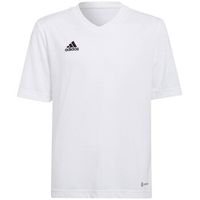 adidas camiseta entrada 22 jsy para nino