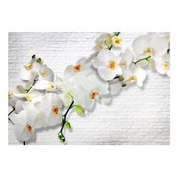 papel pintado 3d - orquideas en la pared 350x245 cm