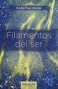 Filamentos del ser