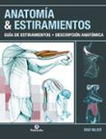 anatomia  estiramientos guia de estiramientos descripcion anatomica