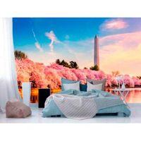 fotomural monumento a washington 400 x 300 cm