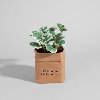 Planta artificial en maceta de papel marrón