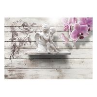papel pintado 3d - kiss of an angel 300x210 cm
