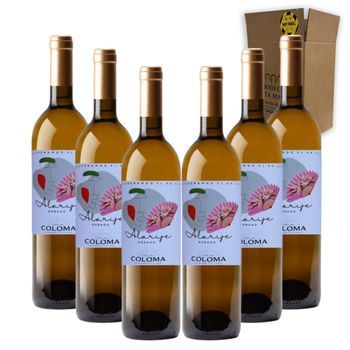 Coloma Alarije Dorado - Pack 6 Botellas 75 Cl - 0,0% Vol.