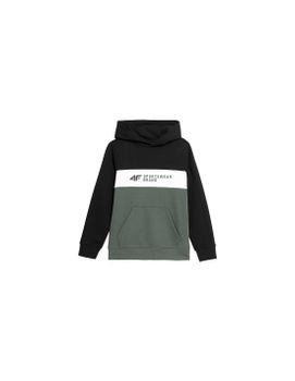 Sudadera 4F JBLM003 Niño verde