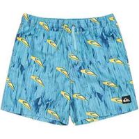 quiksilver banador eqbjv03514-bha4 para nino