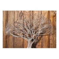papel pintado 3d - knot of life 250x175 cm