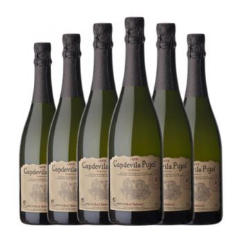 Vins I Caves Blancher Capdevila Pujol Brut Nature Cava Reserva Media Botella 37 Cl 11.5% Vol. (pack De 6 Unidades)