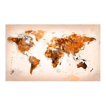 Papel Pintado 3d - El Mundo En Marrones (450x270 Cm)