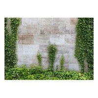 papel pintado 3d - the forgotten garden 350x245 cm