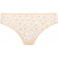 Aurore Briefs