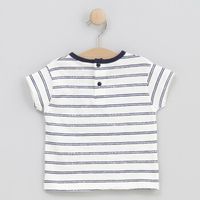 cotton fish tops y camisetas 90698 para nino