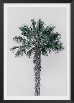 Póster de palma de coco con marco negro30x45cm