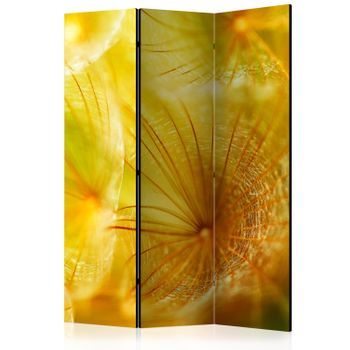 Biombo - Soft Dandelion Flower (135x172 Cm)