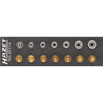 Hazet 163-251/14 Juego De Herramientas ∙ Torx® ∙ Cuadrado Hueco 1/4 Pulgadas (6,3 Mm) ∙ Perfil Torx® Exterior, Perfil Torx® Interior ∙ E4 – E11 ∙ T10 – T40 ∙ Número De Herramientas: 14