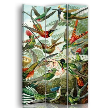 Biombo Grupo De Colibríes - Separador De Ambientes 110x150cm