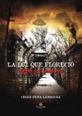 la luz que florecio entre las sombras
