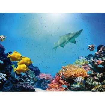 Fotomural Vinilo Océano Tiburones 600 X 300 Cm