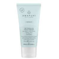 paul mitchell awapuhi wild ginger intensive treatment 75ml