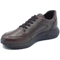 igico zapatos bajos 6638811 vitello alfa t para hombre