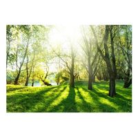 papel pintado 3d - sunny may day 400x280 cm