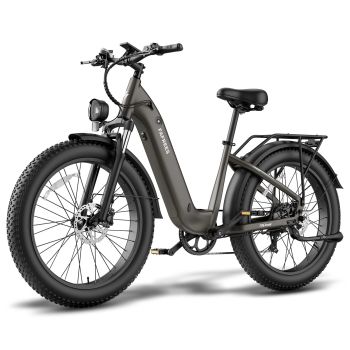 [EU Direct] FAFREES F26 Rover Bicicleta eléctrica 48V 20AH Batería Motor 250W Velocidad máxima 25KM/H Neumáticos 26*4.0