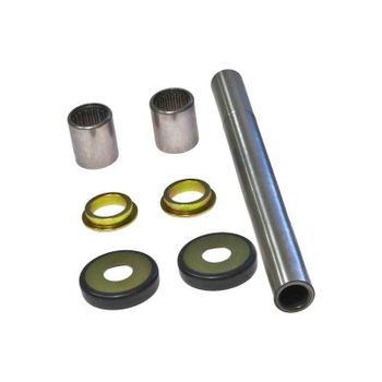 Kit de servicio basculante trasero All Balls 28-1101