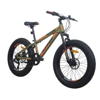 Bicicleta Junior 20